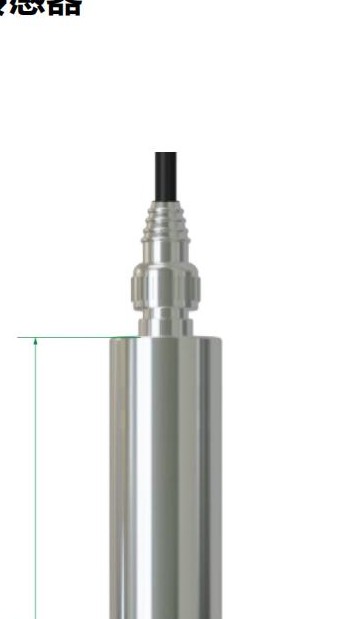 溶解氧传感器(高温型)